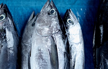 Indonesia Xuất khẩu thủy sản sang Mỹ, châu Âu trong Q12020 tăng