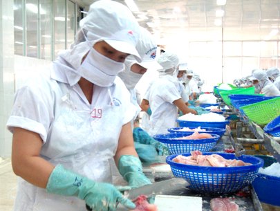 AGIFISH ký hợp đồng xuất khẩu 10.000 tấn cá tra sang Mỹ