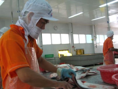 AGIFISH Nghị quyết Hội đồng quản trị