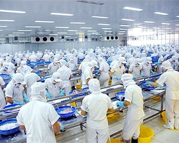 Doanh nghiệp thủy sản “tố” bị văn bản làm khó