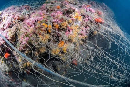 Các quốc gia Địa Trung Hải không thực hiện cam kết bảo vệ đại dương