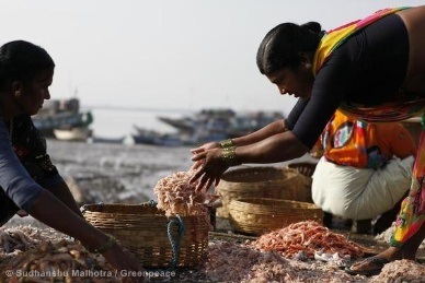 Ấn Độ tăng cường xuất khẩu thủy sản 