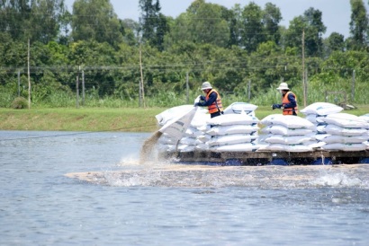 Giá cá tra bắt đầu tăng