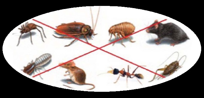 Mời đăng ký tham dự khóa đào tạo K.01.20 “Kiểm soát hiệu quả Côn trùng và Động vật gây hại trong NM chế biến thực phẩm” tại Tp. Hồ Chí Minh