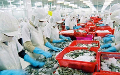 VASEP đề xuất về công thức tính mức thu phí thẩm định xác nhận nguồn gốc nguyên liệu thủy sản