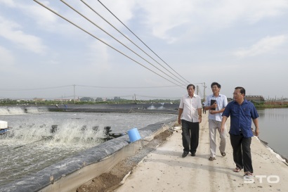 Sóc Trăng Yêu cầu các sở, ban ngành liên quan phối hợp cùng UBND TX. Vĩnh Châu đề xuất hướng hỗ trợ FIMEX VN mở rộng diện tích vùng nuôi tôm