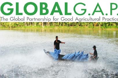 Mời tham dự khóa đào tạo K.05.16 “Cập nhật Tiêu chuẩn GLOBALG.A.P phiên bản 5 cho Trại nuôi Thủy sản”