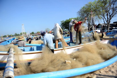 GIÃ CÀO BAY ĐÃ CẤM, SAO VẪN LỘNG HÀNH