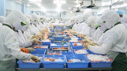 Giấy xác nhận phù hợp Không phải là giải pháp đảm bảo ATTP