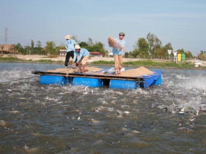 Mời tham dự hội thảo “Chính sách Nuôi trồng Thủy sản bền vững ở Đồng bằng Sông Cửu Long”