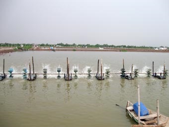 Cần Thơ phấn đấu năm 2020 tổng sản lượng thủy sản đạt 241.500 tấn