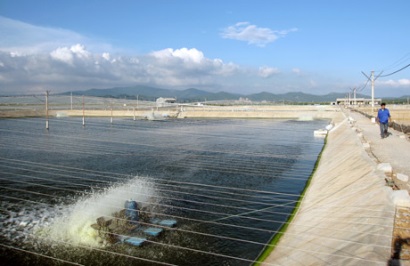 Ký kết thực hiện dự án nuôi tôm đạt tiêu chuẩn quốc tế