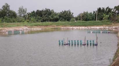 Cà Mau Khung lịch thời vụ nuôi trồng thủy sản năm 2018