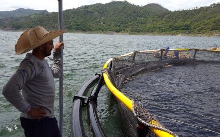 GOAL Chứng nhận Không kháng sinh cho thủy sản có khả năng sớm được đưa ra 