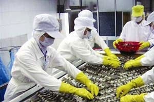 Các doanh nghiệp xuất khẩu thủy sản sang Mỹ cần chú ý điều gì