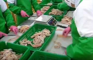 Thủy sản Mỹ xuất sang Trung Quốc để chế biến tái xuất sẽ được miễn thuế