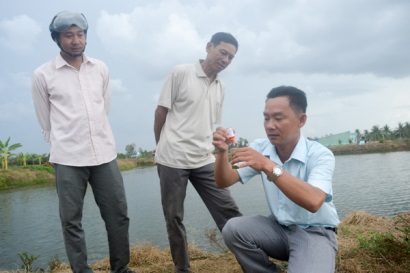 Sóc Trăng Mỹ Xuyên vào vụ nuôi tôm nước lợ