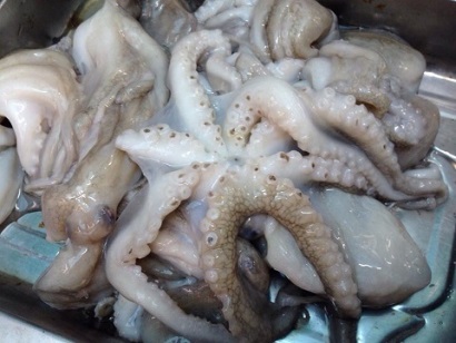 Tây Ban Nha Giá bạch tuộc tăng cao 