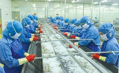 Xuất khẩu tôm sang EU tăng 6,4% 