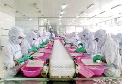 Đưa hàng vào thị trường Nhật, lợi thế còn để ngỏ