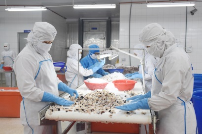 BASEAFOOD Đưa ra nhiều mặt hàng thủy sản chế biến sẵn phục vụ Tết nguyên đán