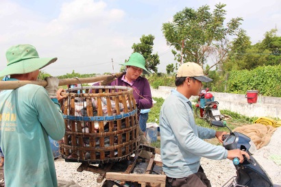 Hợp tác sản xuất cá tra bền vững