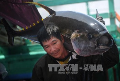 Khởi sắc từ phát triển kinh tế biển