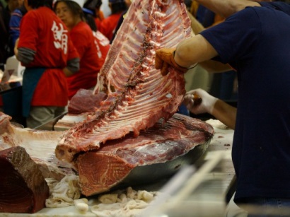 Giá cá ngừ tăng mạnh ảnh hưởng tới ngành sushi Nhật Bản