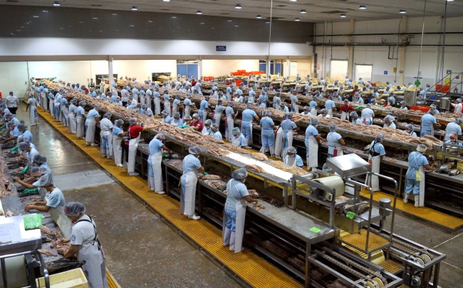 Xu hướng tiêu thụ cá ngừ tại Mexico thay đổi