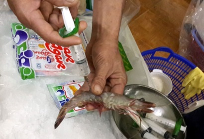 Bơm tạp chất vào tôm có thể bị xử lý hình sự