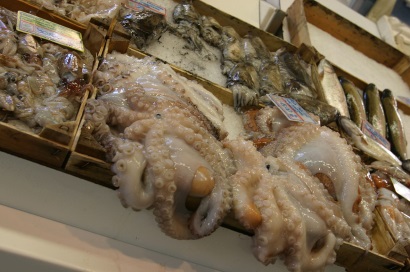 Tây Ban Nha Sản lượng bạch tuộc ở Galicia giảm, giá tăng