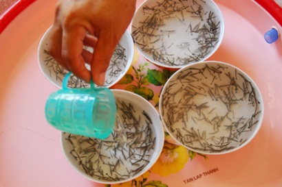 Cần truy xuất nguốn gốc tôm giống bố mẹ