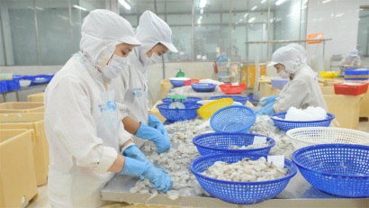 Hàn Quốc Nhu cầu nhập khẩu tôm chân trắng vẫn tăng 
