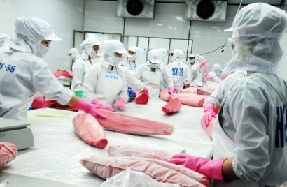 Rào cản thuế trong cuộc chiến Mỹ - Trung cơ hội nào cho cá ngừ Việt Nam