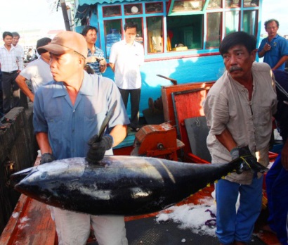Xây dựng nhãn hiệu chứng nhận “Cá ngừ đại dương Bình Định”
