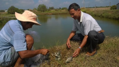 Thực hiện chuỗi sản phẩm thủy sản an toàn