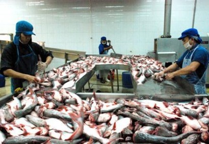 Văn hóa kinh doanh đưa thủy sản vào Úc