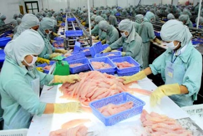 Áp dụng đạo luật Farm Bill Trơn trượt đường xuất khẩu cá da trơn sang Mỹ