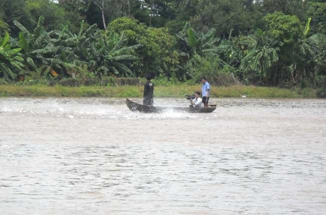 Nuôi cá tra xuất khẩu sạch từ con giống đến bàn ăn