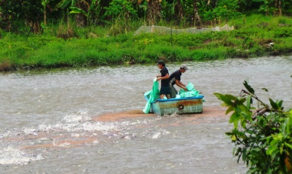 Bộ TNMT trả lời về việc áp dụng Quy chuẩn kỹ thuật quốc gia về nước thải cho khu nuôi cá tra