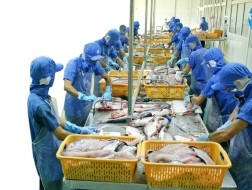 HUNG VUONG CORP Dự kiến bán toàn bộ 1,26 triệu cổ phiếu quỹ