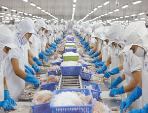 VINH HOAN CORP hướng tới doanh thu 8.000 tỷ đồng trong 5 năm tới