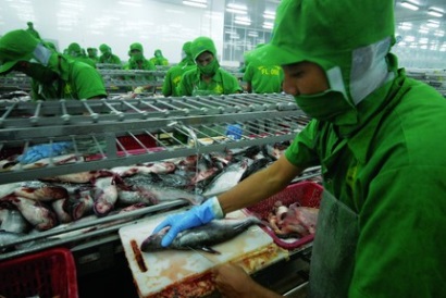 Mỹ kiểm tra nghiêm ngặt cá tra Việt Nam
