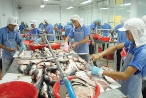 Cơ hội thế chân hàng Trung Quốc tại Mỹ