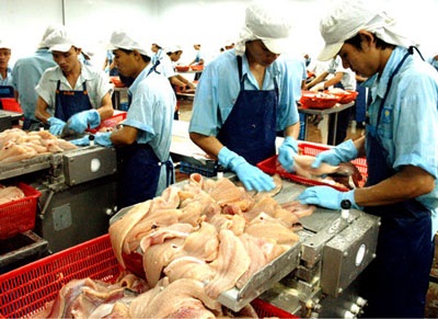 VASEP Mỹ áp thuế chống bán phá giá lên cá tra Việt Nam là không công bằng