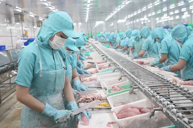 POR15 Thuế chống bán phá giá cho cá tra Việt Nam vào Mỹ giảm