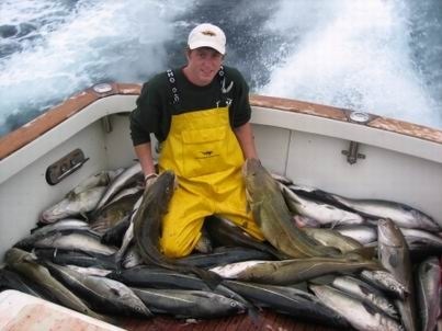 High Liner Foods Doanh thu cá tuyết cod, haddock giảm