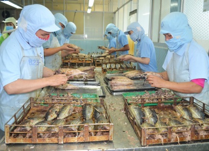 Nâng chất chuỗi cá ngừ