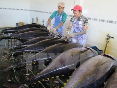 Kim ngạch xuất khẩu nông lâm thủy sản đạt 7,6 tỷ USD trong quý 1