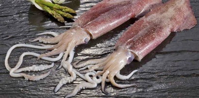 Trong xu hướng giảm nhập, Mỹ vẫn tăng mua mực, bạch tuộc từ Việt Nam